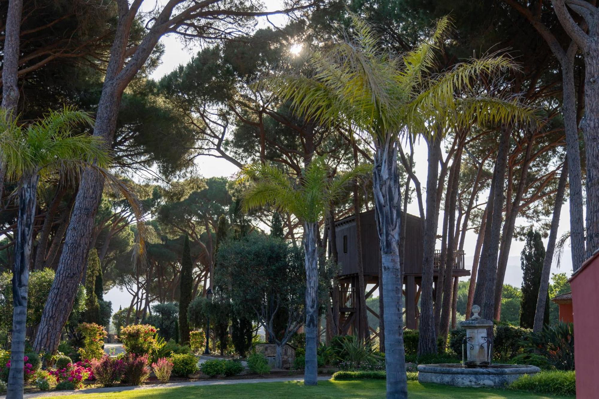 La Signoria Hotell Calvi  Eksteriør bilde